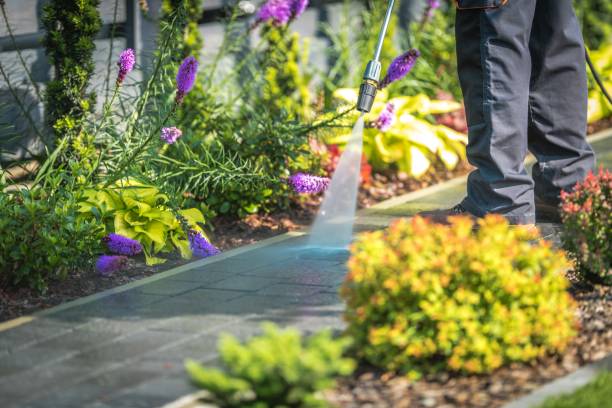 Professional Pressure Washing Services in Worth, IL