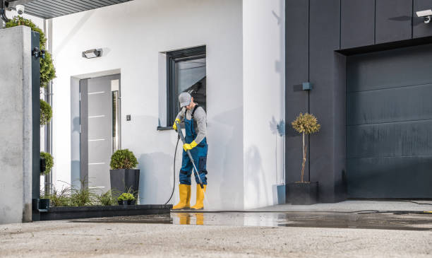 Best Dumpster Area Cleaning  in Worth, IL
